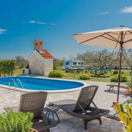 Olive-privlaka By Guide