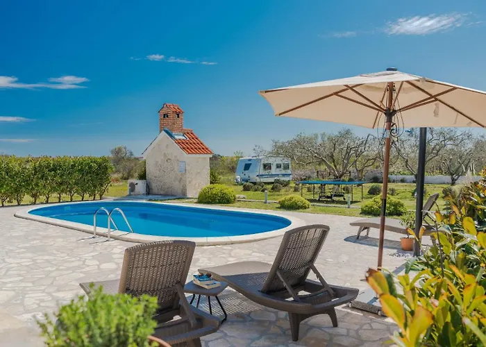 Olive-privlaka By Guide