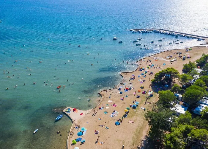 Olive-privlaka By Guide Villa *