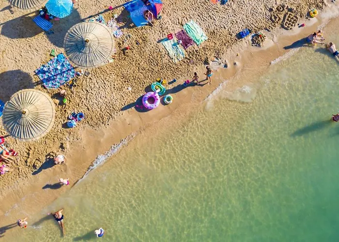 Olive-privlaka By Guide