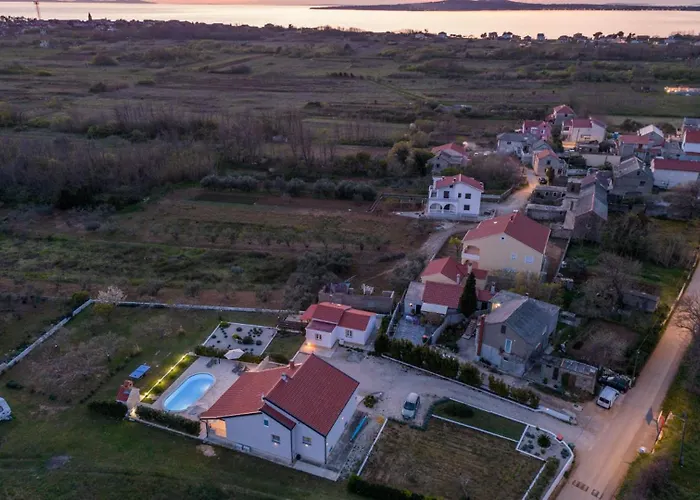 Olive-privlaka By Guide *